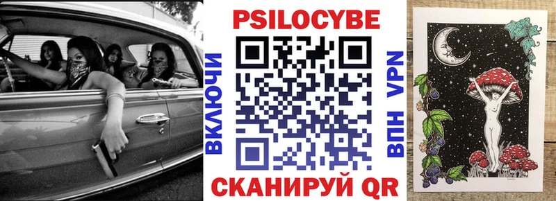 Купить закладки Екатеринбург Галлюциногенные грибы мицелий